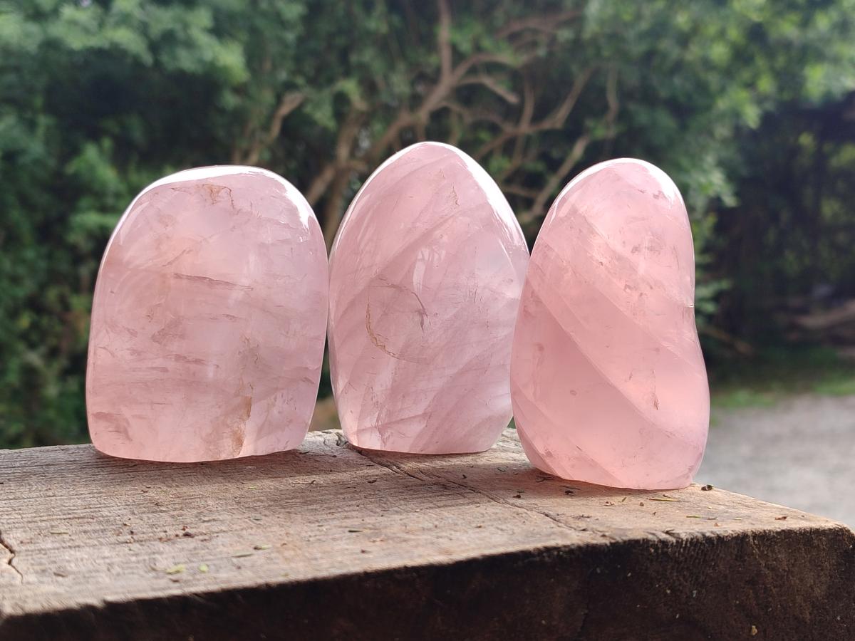Polished Gemmy Star Rose Quartz Standing Free Forms x 4 From Madagascar - Toprock Gemstones and Minerals 