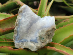 Natural Blue Lace Agate Geode and Cluster Specimens x 6 From Nsanje, Malawi