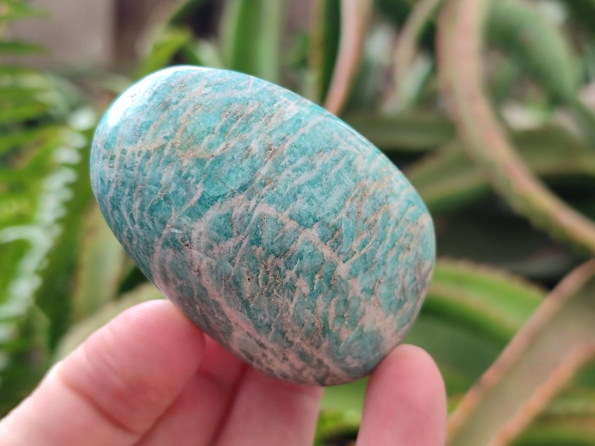 Polished Amazonite Palm Stones x 12 From Madagascar - Toprock Gemstones and Minerals 
