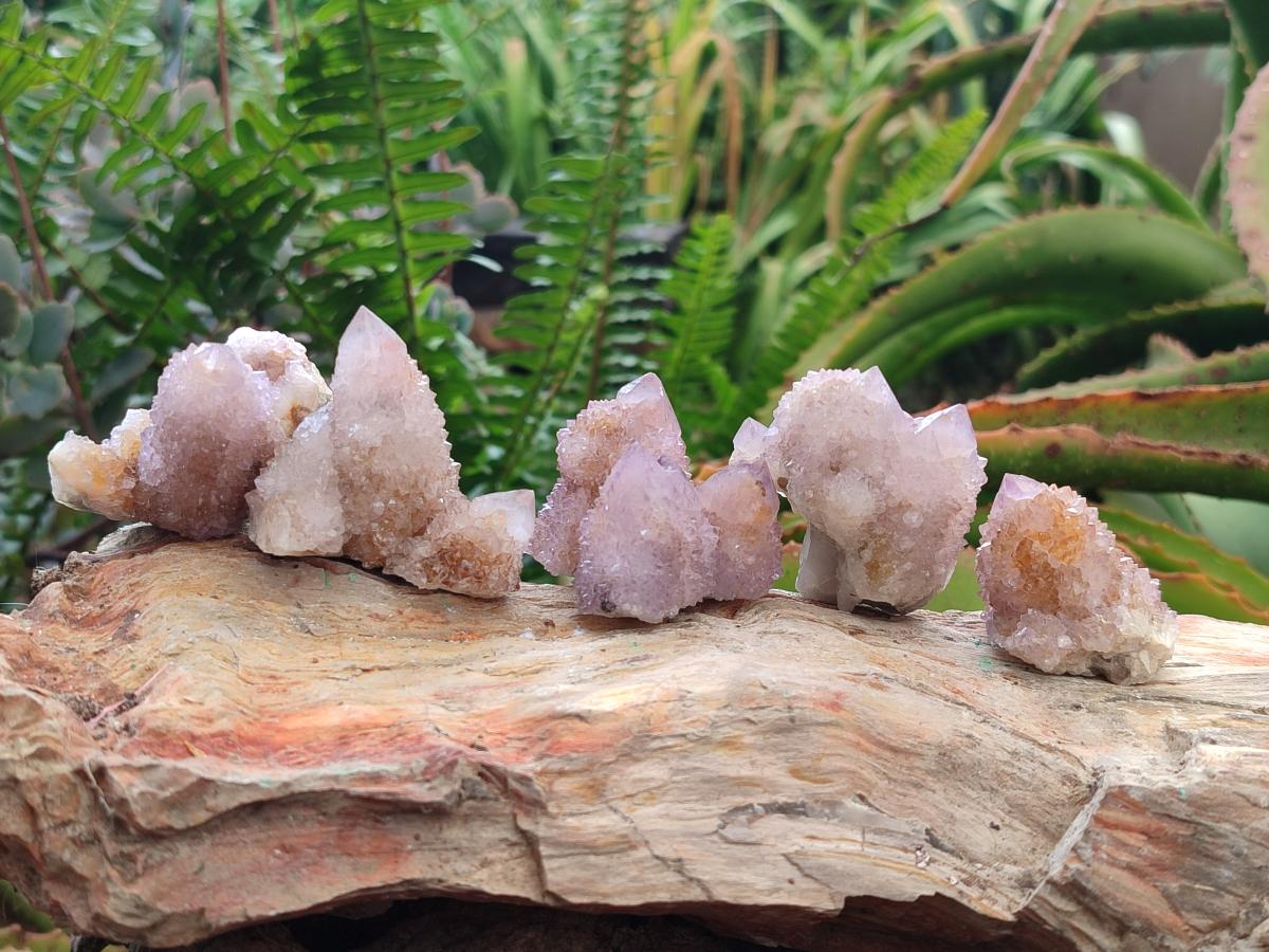 Natural Amethyst Spirit Crystals and Clusters x 24 From Boekenhouthoek, South Africa