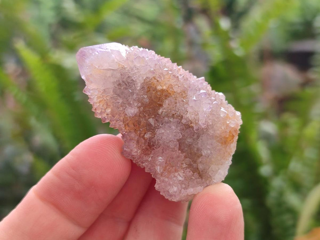 Natural Amethyst Spirit Crystals and Clusters x 24 From Boekenhouthoek, South Africa