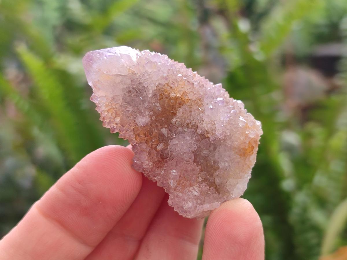 Natural Amethyst Spirit Crystals and Clusters x 24 From Boekenhouthoek, South Africa