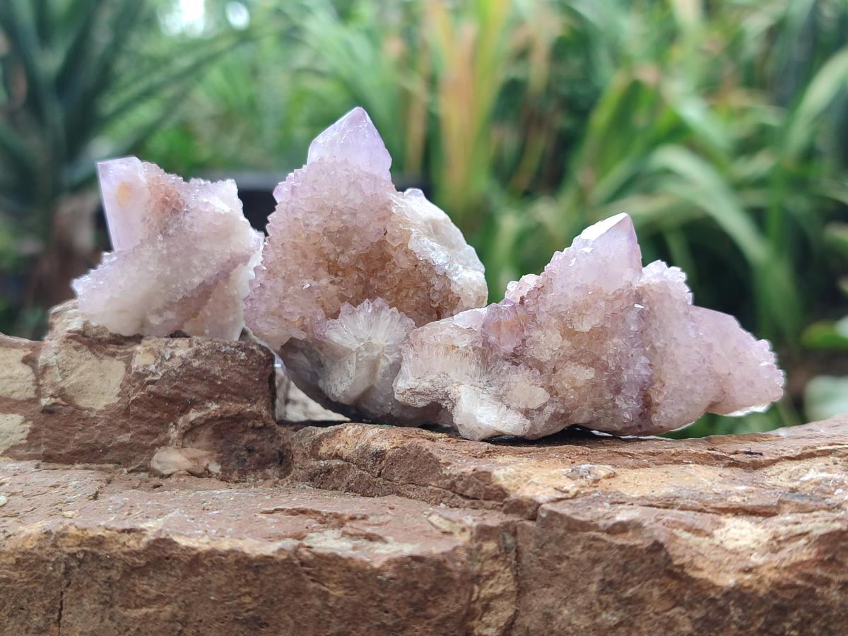 Natural Amethyst Spirit Crystals and Clusters x 24 From Boekenhouthoek, South Africa