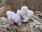 Natural Amethyst Spirit Crystals and Clusters x 24 From Boekenhouthoek, South Africa