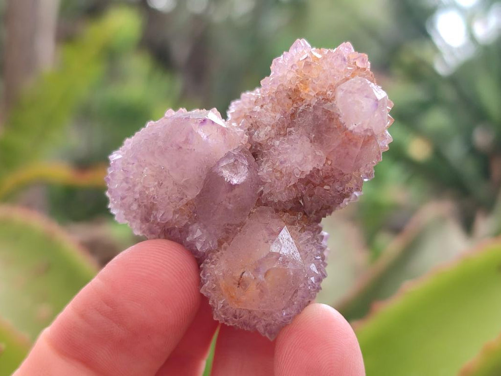 Natural Amethyst Spirit Crystals and Clusters x 24 From Boekenhouthoek, South Africa
