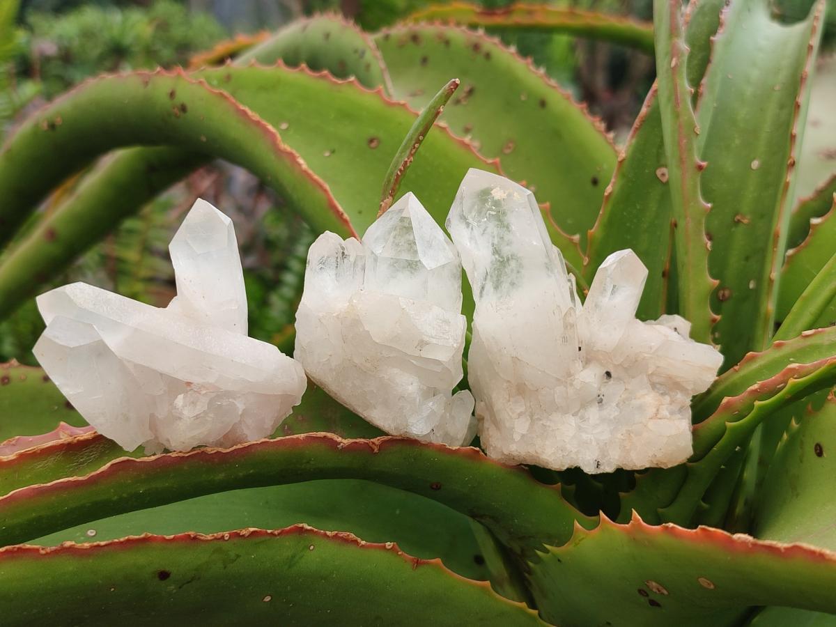 Natural Clear Quartz Crystal Clusters x 35 From Madagascar