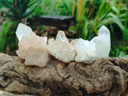 Natural Clear Quartz Crystal Clusters x 35 From Madagascar