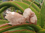 Natural Clear Quartz Crystal Clusters x 35 From Madagascar
