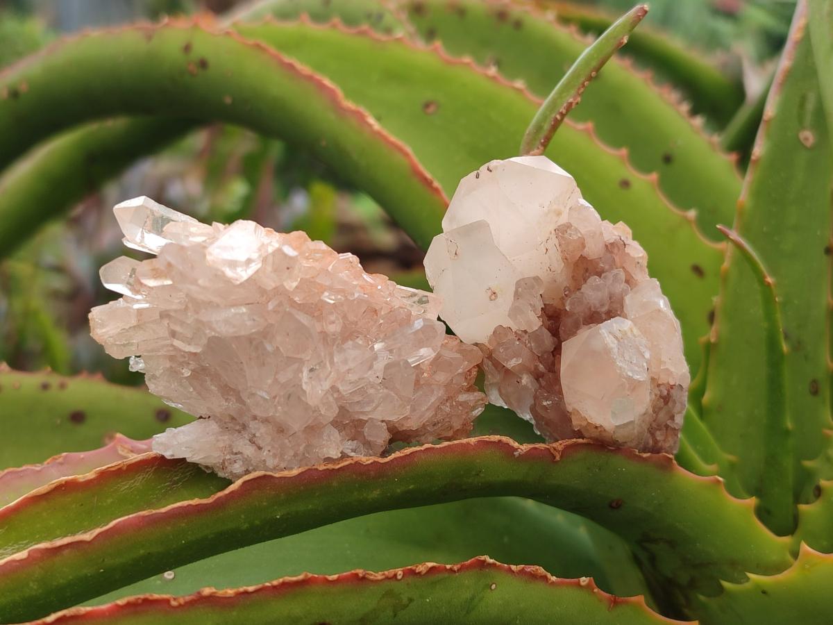 Natural Clear Quartz Crystal Clusters x 35 From Madagascar