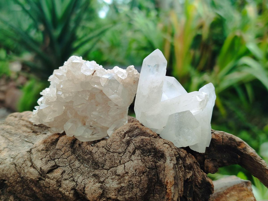 Natural Clear Quartz Crystal Clusters x 35 From Madagascar