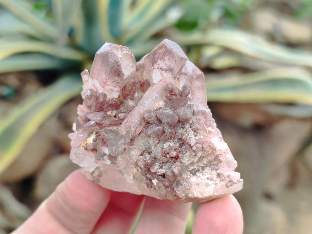 Natural Clear Quartz Crystal Clusters x 35 From Madagascar