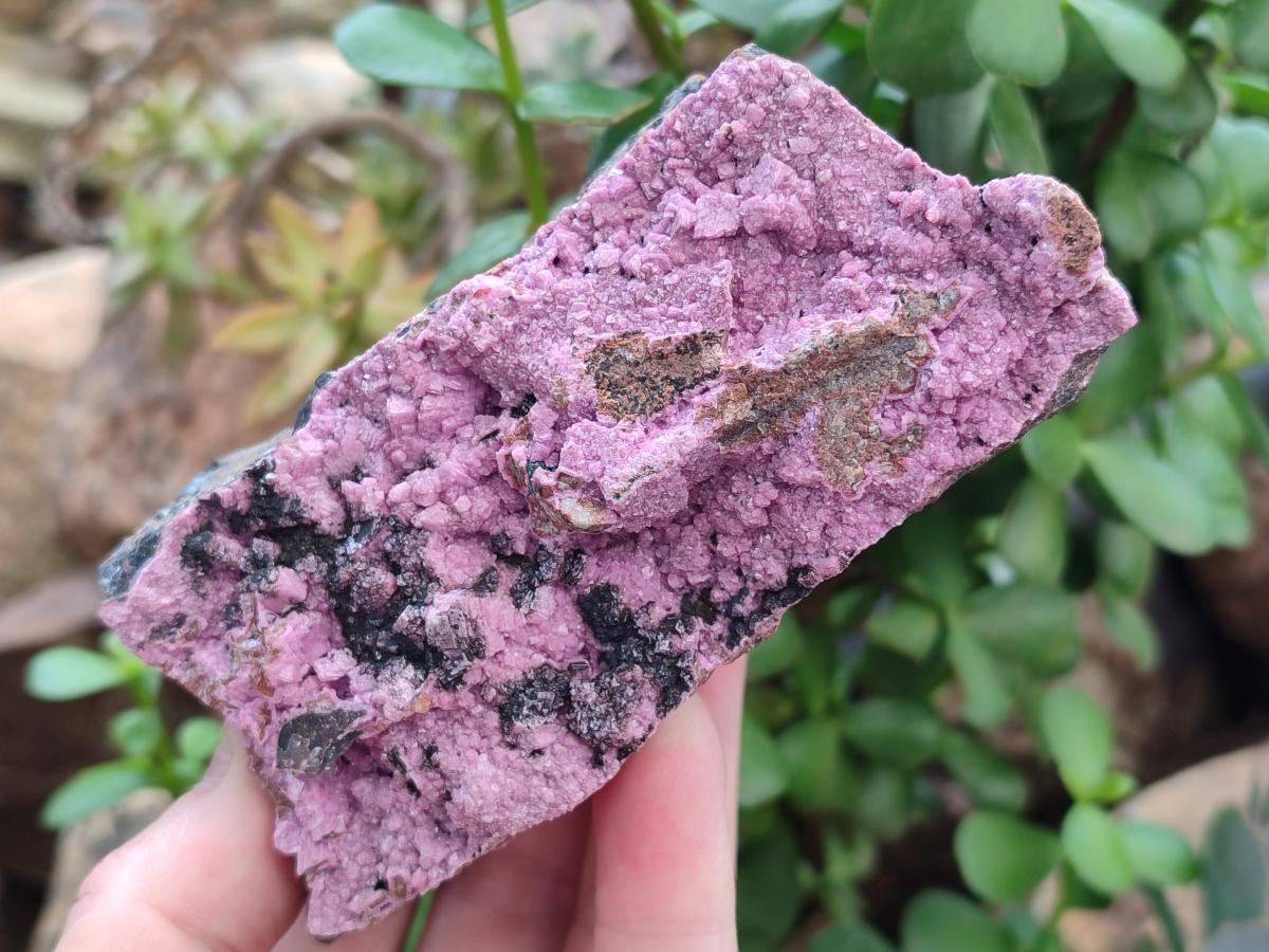 Natural Salrose Cobaltoan Dolomite Specimens x 4 From Kakanda, Congo