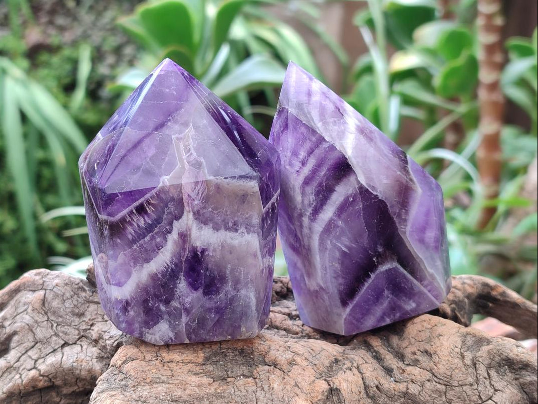 Polished Chevron Amethyst Crystals x 6 From Zambia - Toprock Gemstones and Minerals 