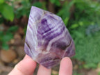 Polished Chevron Amethyst Crystals x 6 From Zambia - Toprock Gemstones and Minerals 