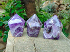 Polished Chevron Amethyst Crystals x 6 From Zambia - Toprock Gemstones and Minerals 