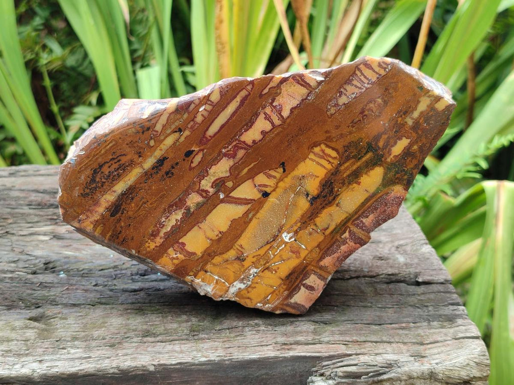 Polished One Side Large Nguni Jasper Specimen x 1 From Northern Cape, South Africa