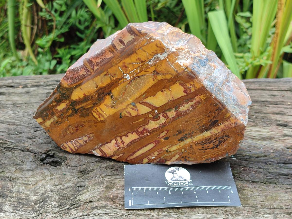 Polished One Side Large Nguni Jasper Specimen x 1 From Northern Cape, South Africa