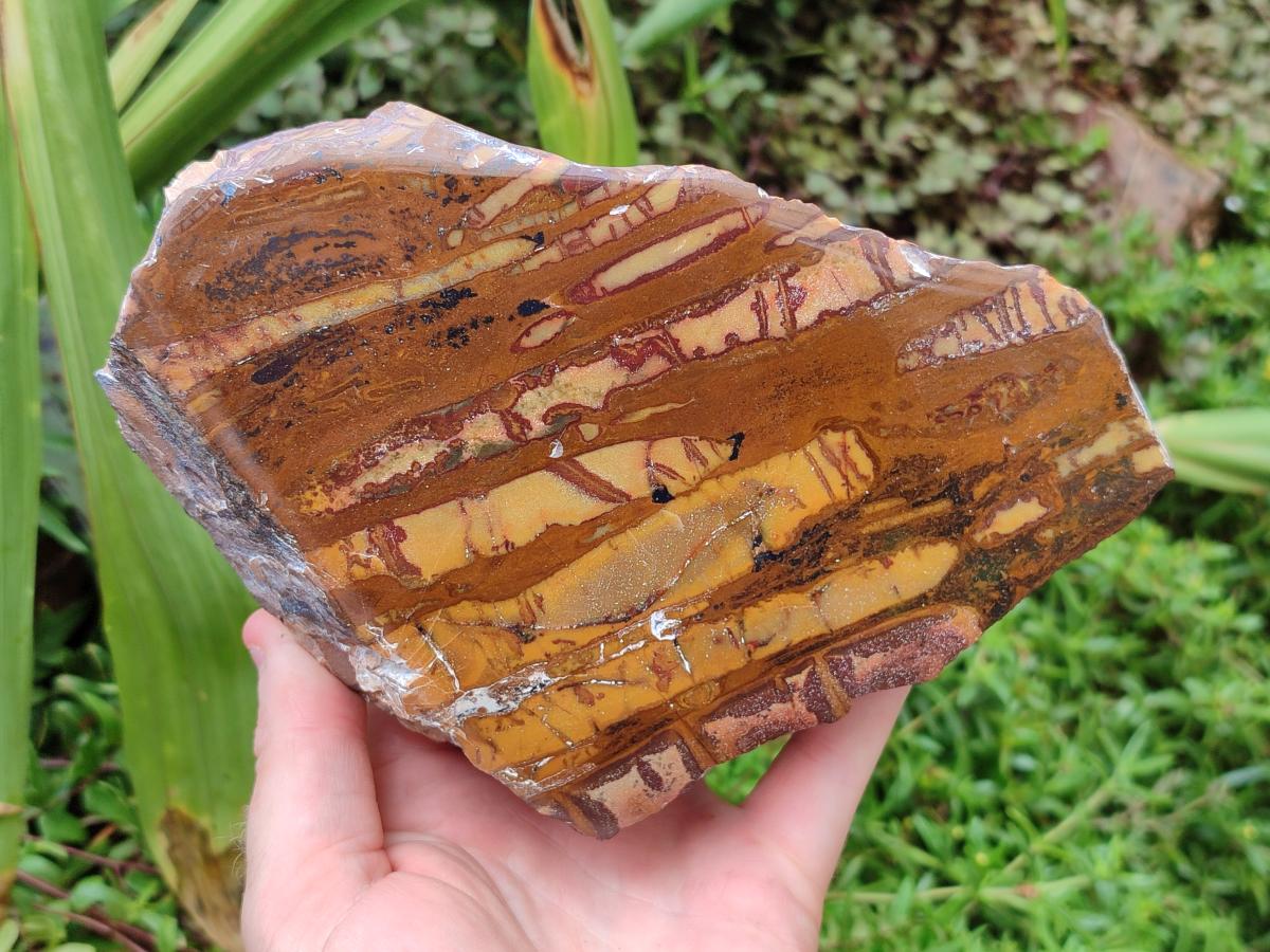 Polished One Side Large Nguni Jasper Specimen x 1 From Northern Cape, South Africa