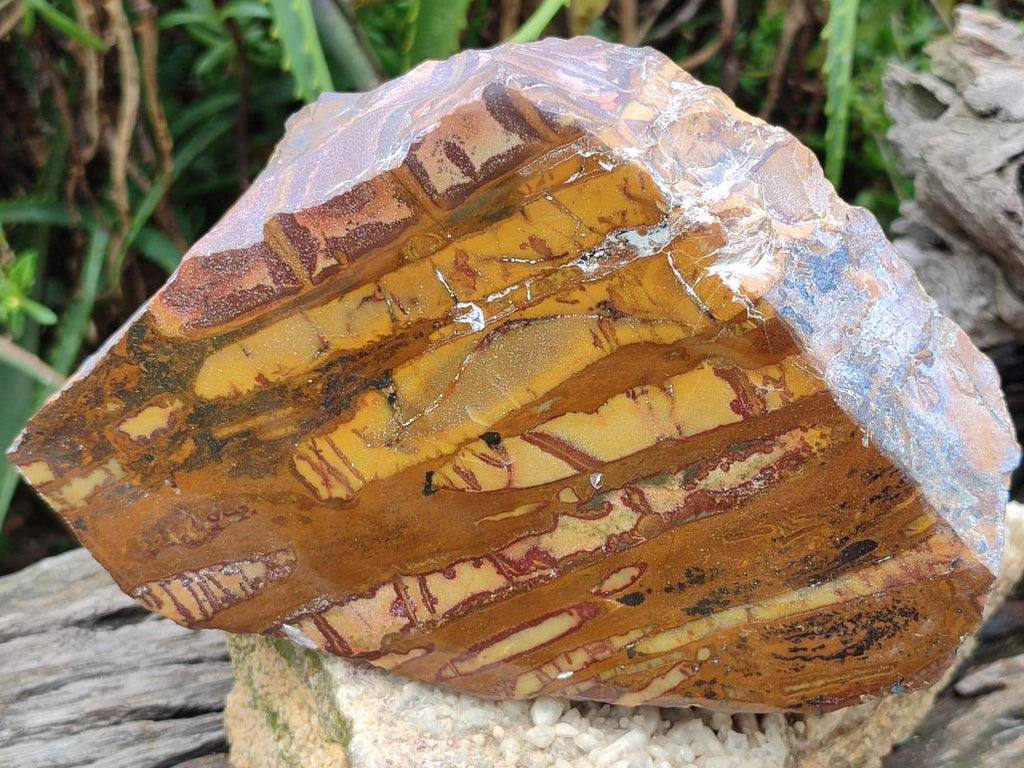 Polished One Side Large Nguni Jasper Specimen x 1 From Northern Cape, South Africa