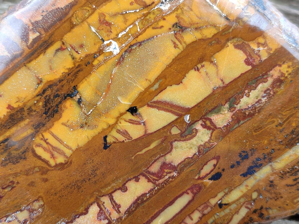 Polished One Side Large Nguni Jasper Specimen x 1 From Northern Cape, South Africa