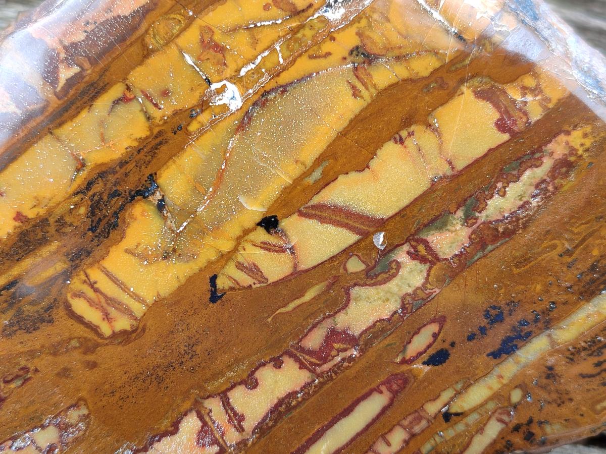 Polished One Side Large Nguni Jasper Specimen x 1 From Northern Cape, South Africa