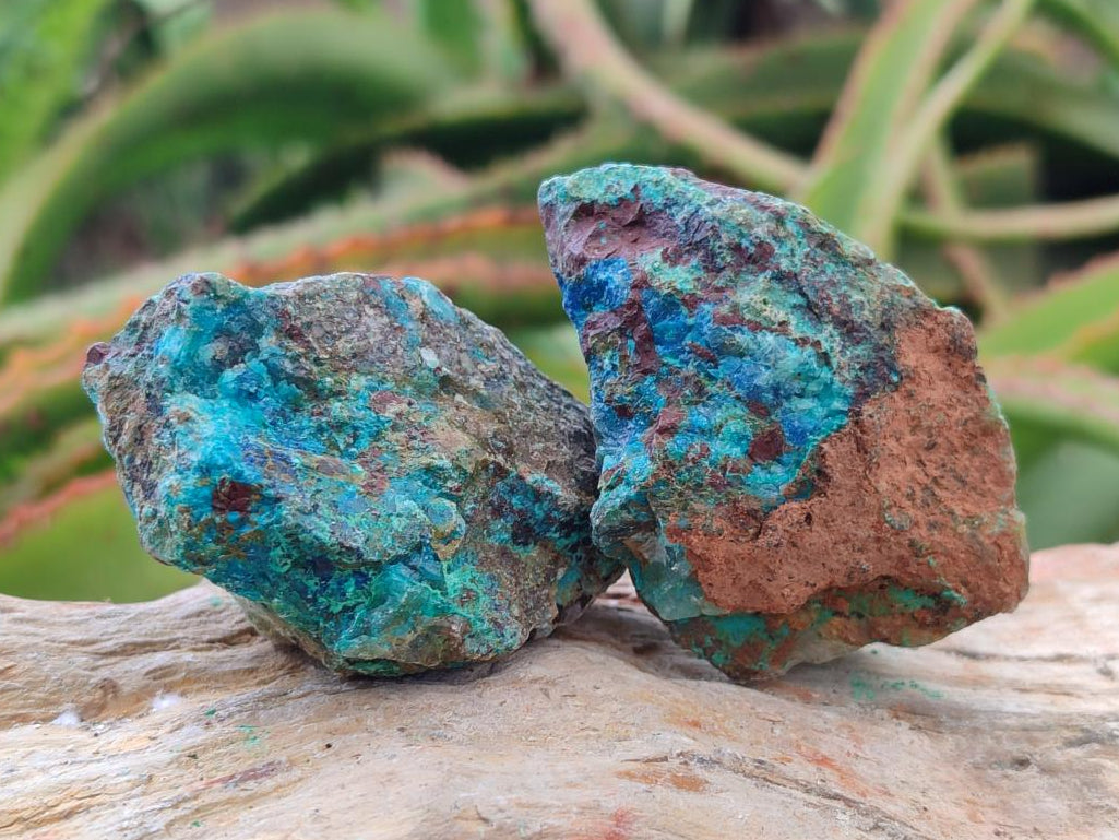 Natural Rough Shattuckite Specimens x 35 From Kaokoveld, Namibia