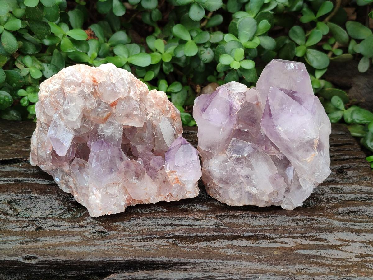 Natural Jacaranda Amethyst Crystal Clusters x 2 From Mumbwa, Zambia