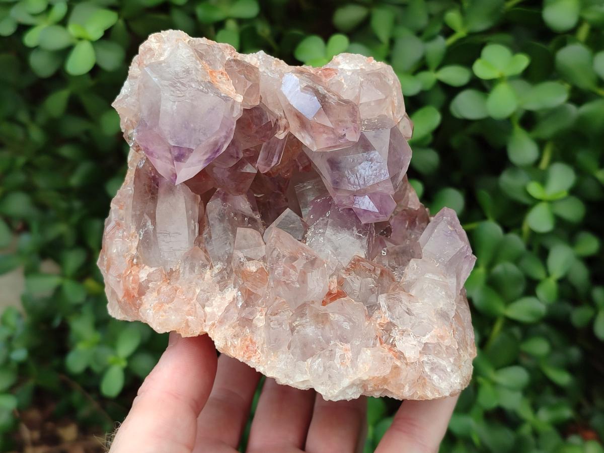 Natural Jacaranda Amethyst Crystal Clusters x 2 From Mumbwa, Zambia