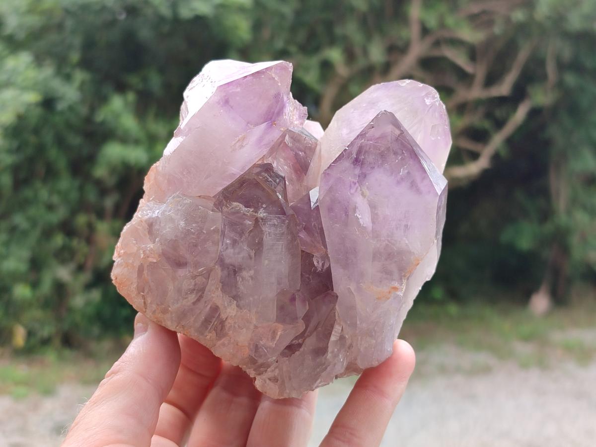 Natural Jacaranda Amethyst Crystal Clusters x 2 From Mumbwa, Zambia