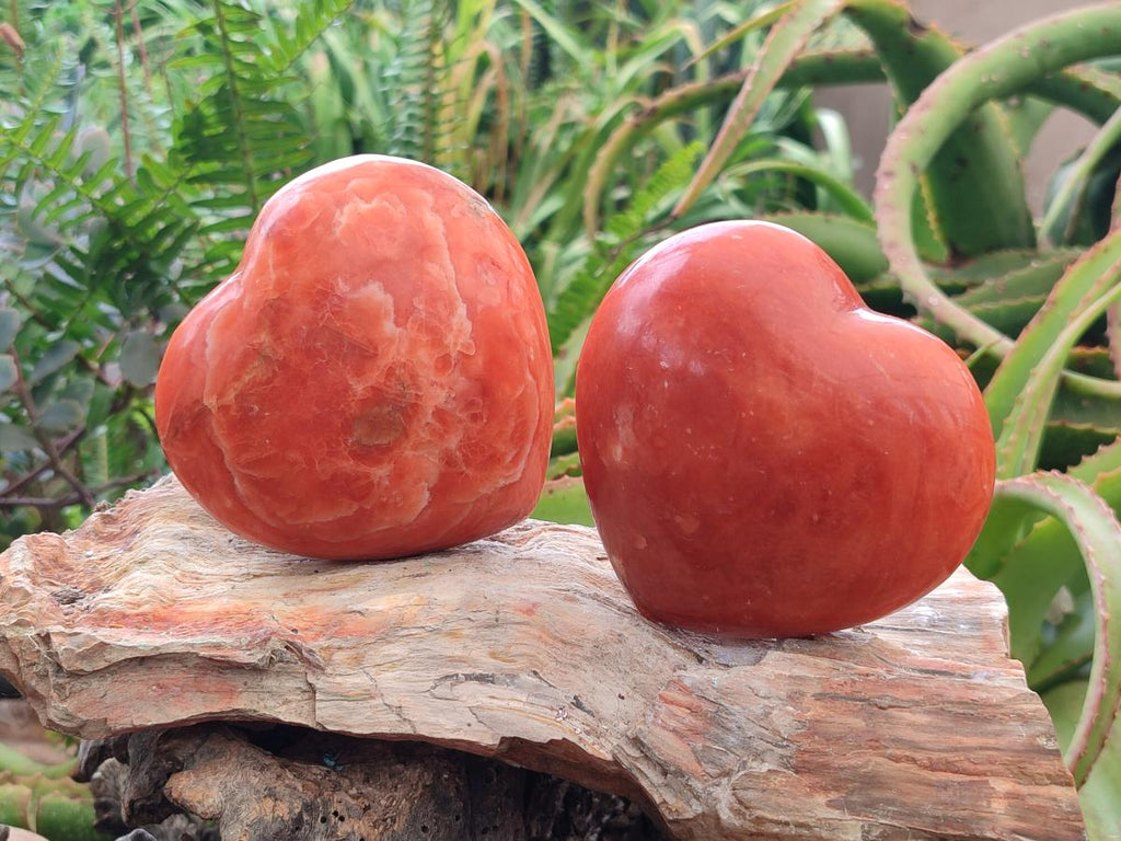 Polished Dark Orange Calcite Hearts x 2 From Madagascar