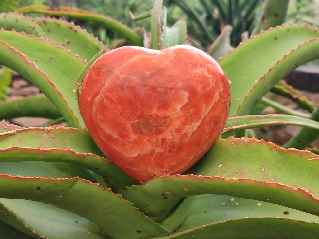 Polished Dark Orange Calcite Hearts x 2 From Madagascar