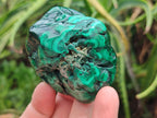 Polished Flower Banded Malachite Free Forms x 6 From Congo