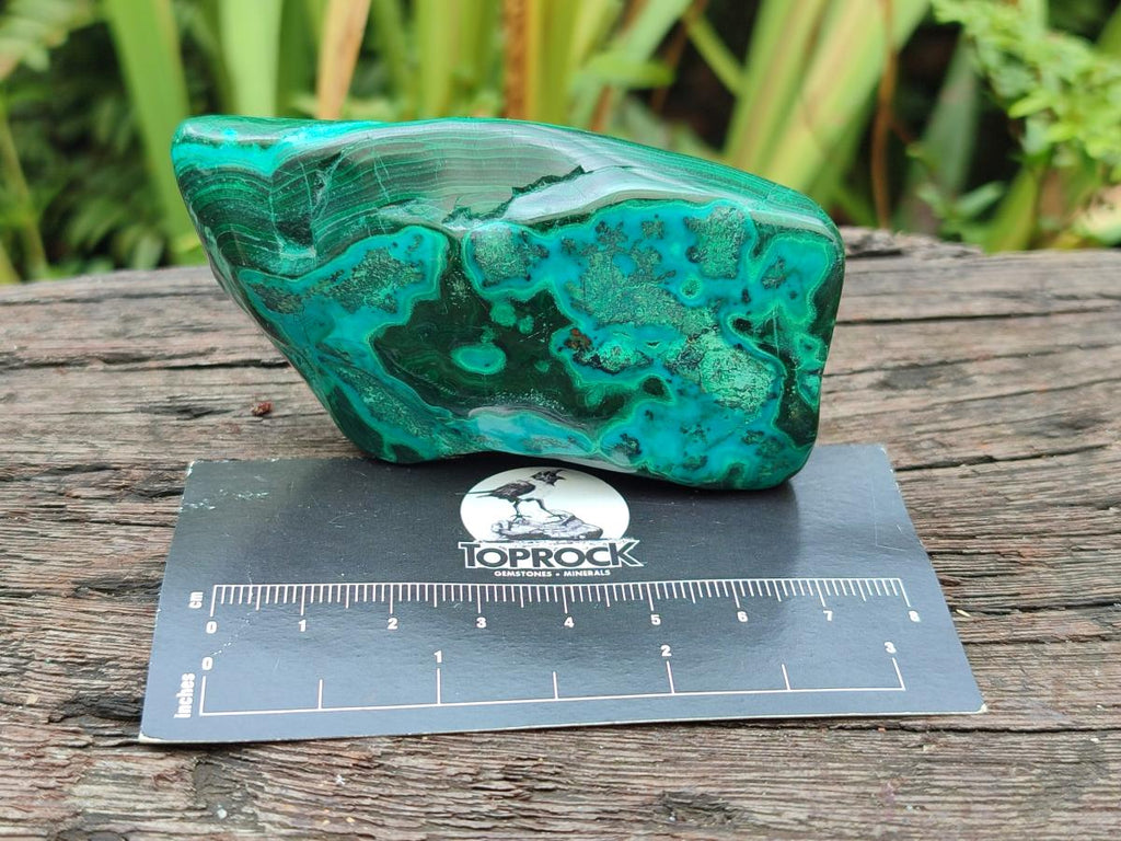 Polished Flower Banded Malachite Free Forms x 6 From Congo