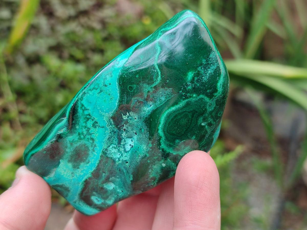 Polished Flower Banded Malachite Free Forms x 6 From Congo