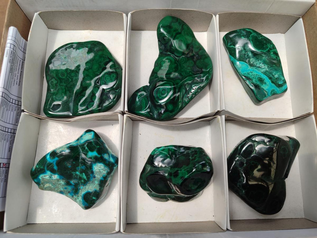 Polished Flower Banded Malachite Free Forms x 6 From Congo
