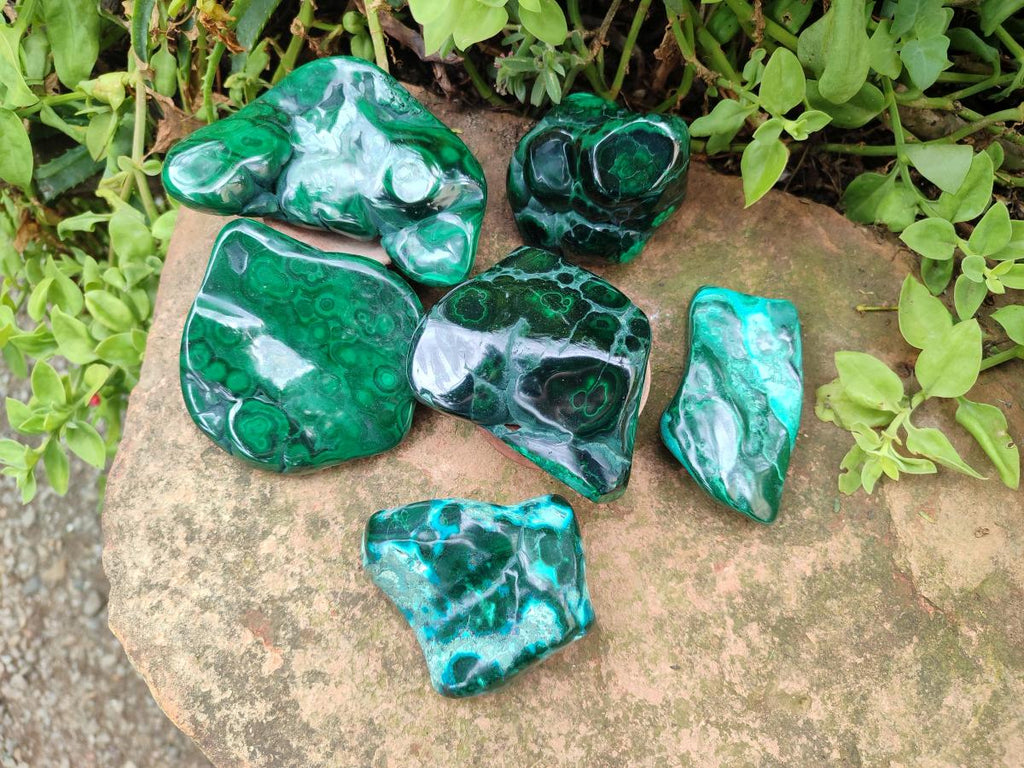 Polished Flower Banded Malachite Free Forms x 6 From Congo