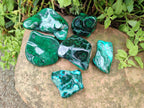 Polished Flower Banded Malachite Free Forms x 6 From Congo