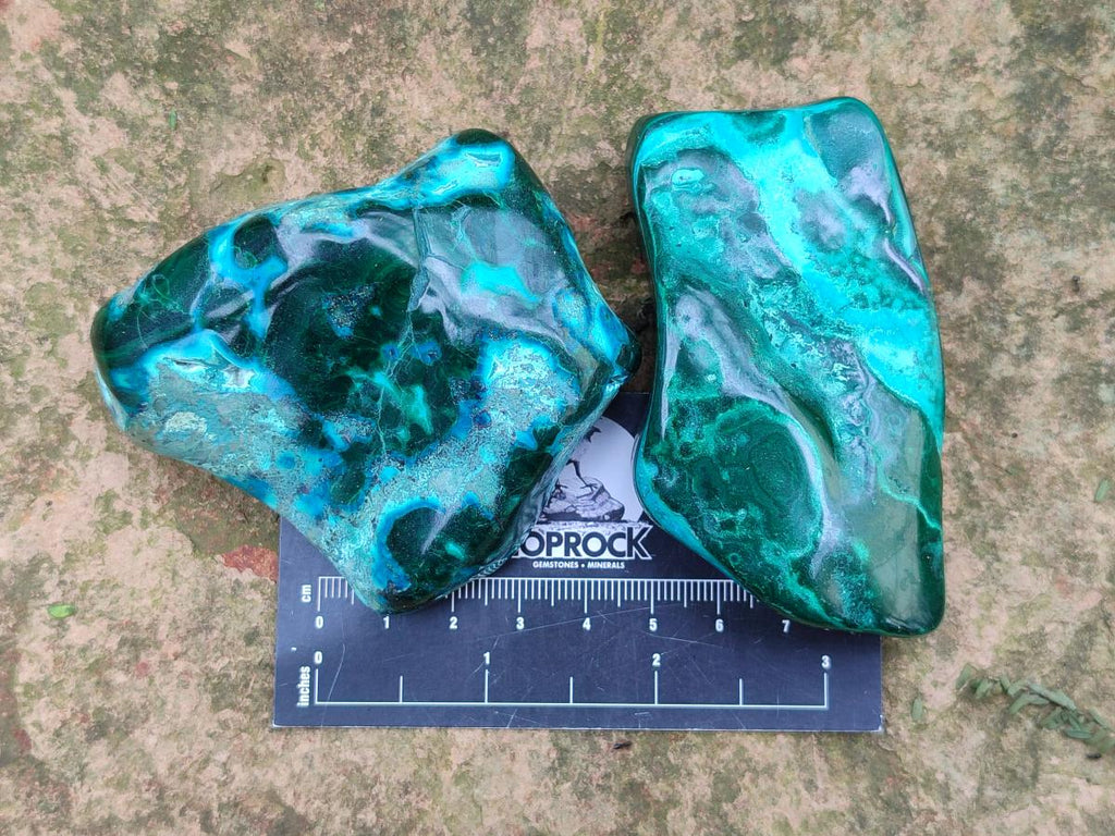Polished Flower Banded Malachite Free Forms x 6 From Congo