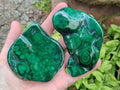 Polished Flower Banded Malachite Free Forms x 6 From Congo