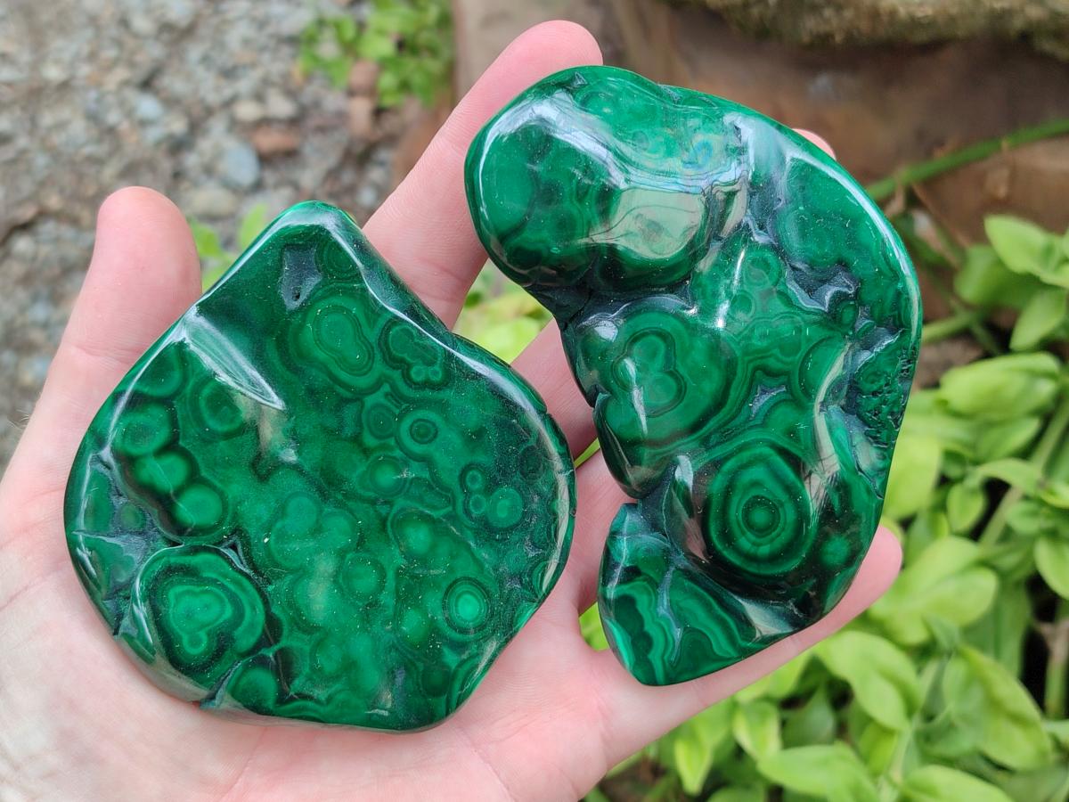 Polished Flower Banded Malachite Free Forms x 6 From Congo