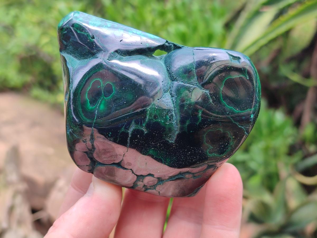 Polished Flower Banded Malachite Free Forms x 6 From Congo