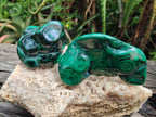 Polished Flower Banded Malachite Free Forms x 6 From Congo