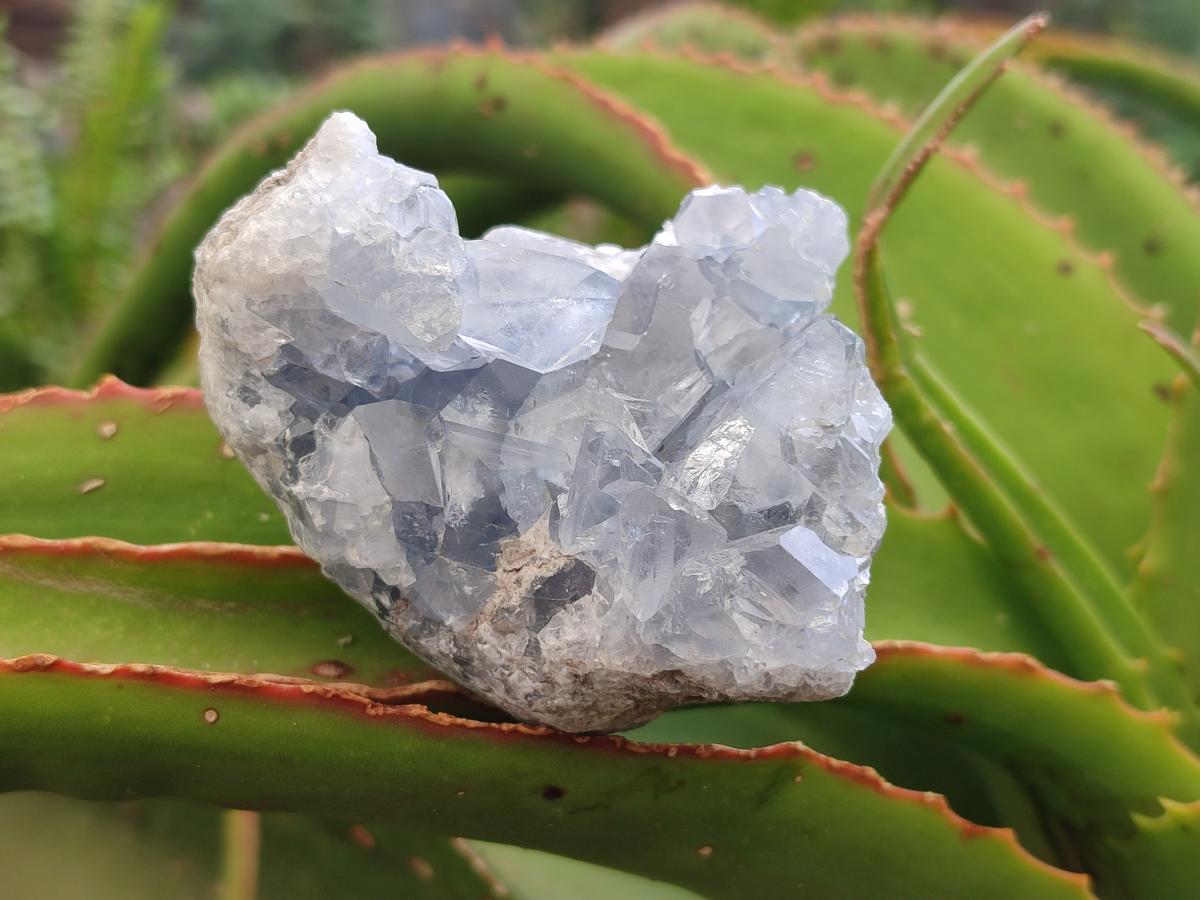 Natural Blue Celestite Cluster Specimens x 2 From Sakoany, Madagascar