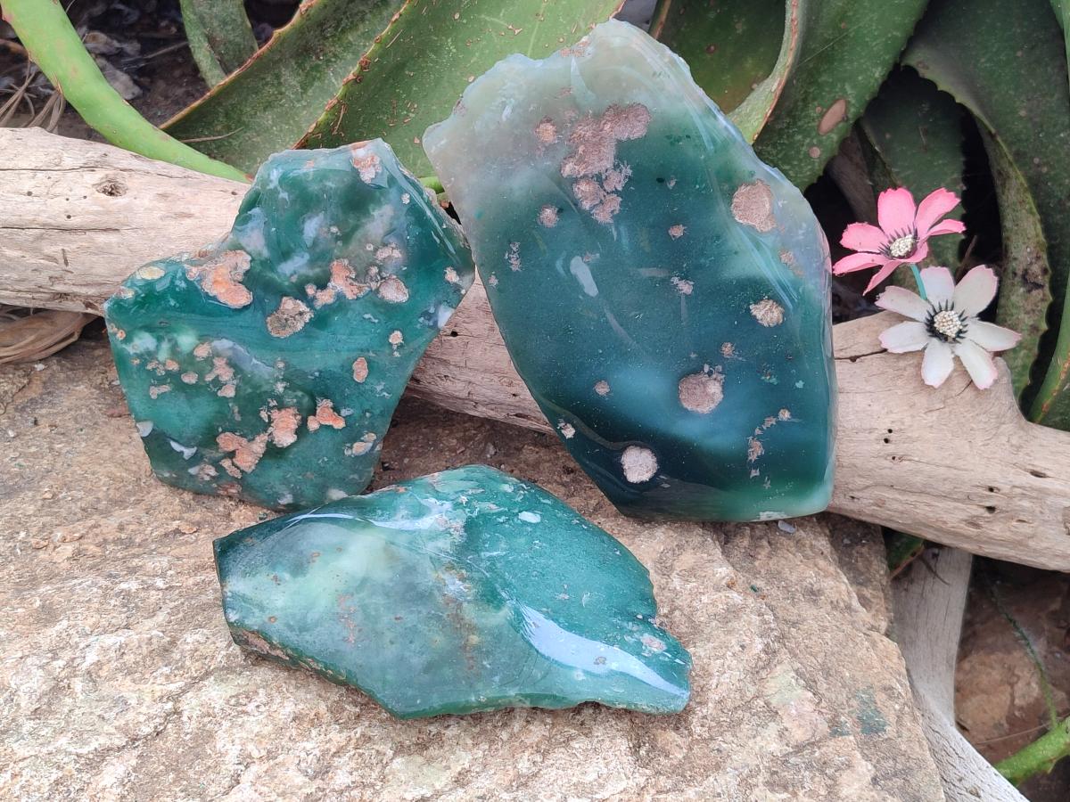 Polished Mtorolite Slices x 3 From Mutorashanga, Zimbabwe