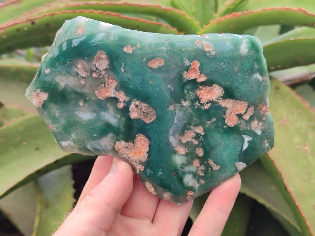 Polished Mtorolite Slices x 3 From Mutorashanga, Zimbabwe