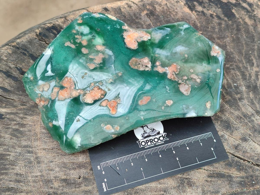 Polished Mtorolite Slices x 3 From Mutorashanga, Zimbabwe