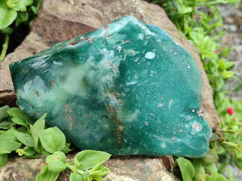 Polished Mtorolite Slices x 3 From Mutorashanga, Zimbabwe