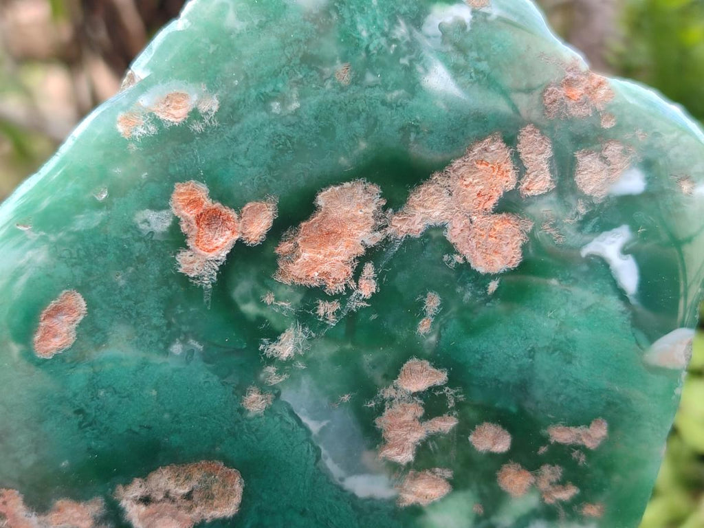 Polished Mtorolite Slices x 3 From Mutorashanga, Zimbabwe