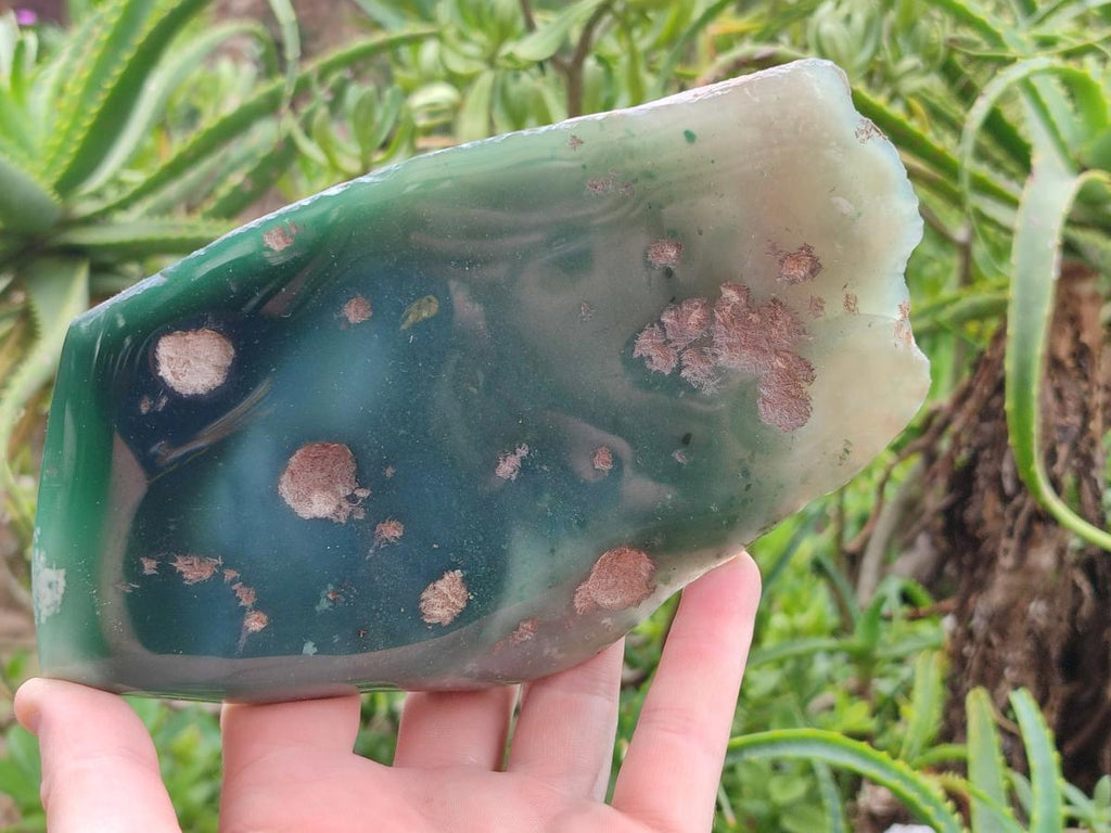 Polished Mtorolite Slices x 3 From Mutorashanga, Zimbabwe