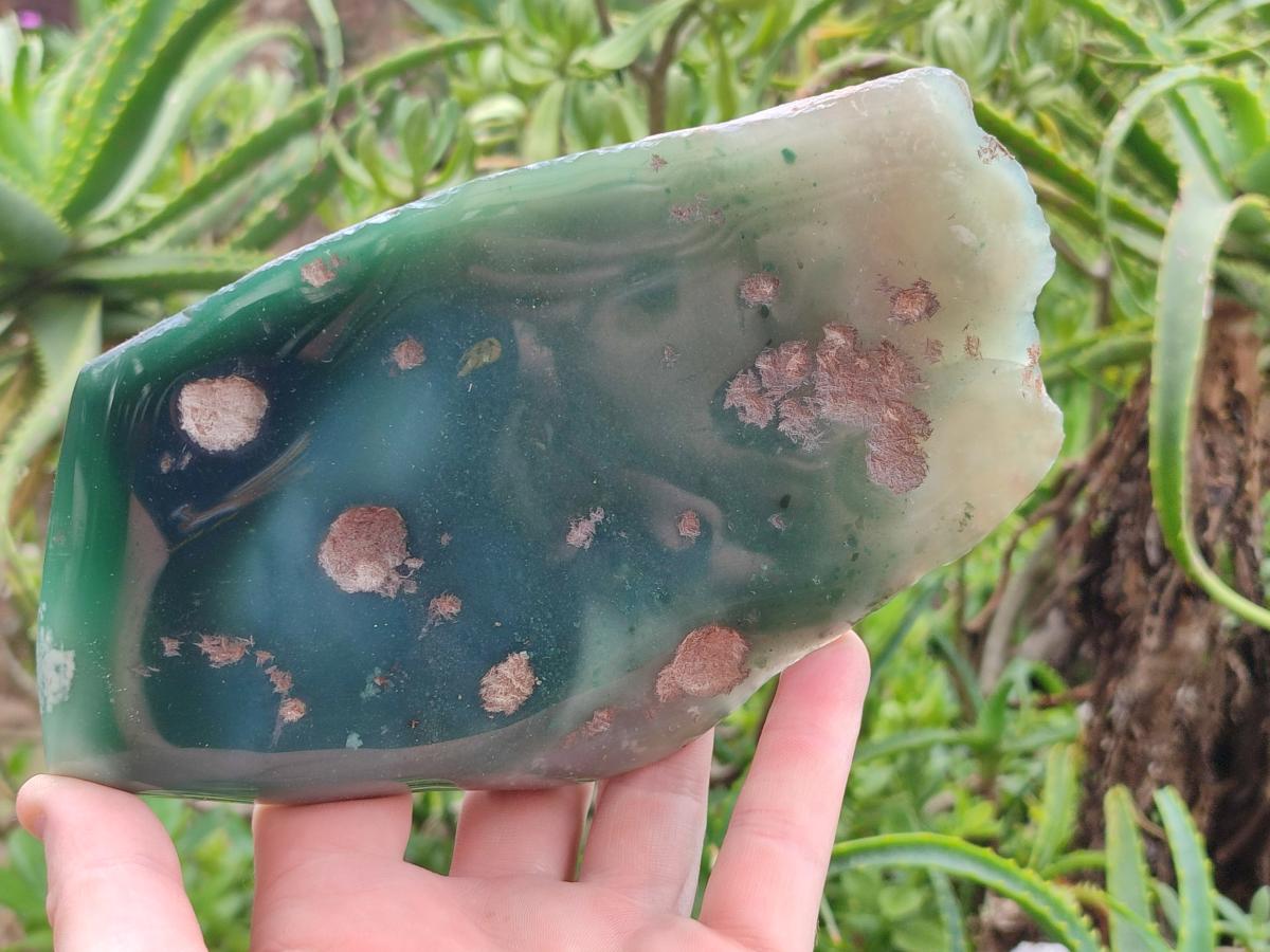 Polished Mtorolite Slices x 3 From Mutorashanga, Zimbabwe